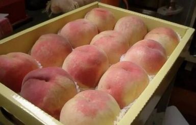 水蜜桃冷庫(kù)中的儲(chǔ)藏方法
