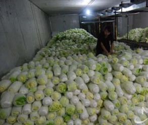 寧波蔬菜冷庫(kù)造價(jià)需要多少錢？