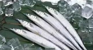 寧波凍魚冷庫日常管理維護(hù)要注意事項